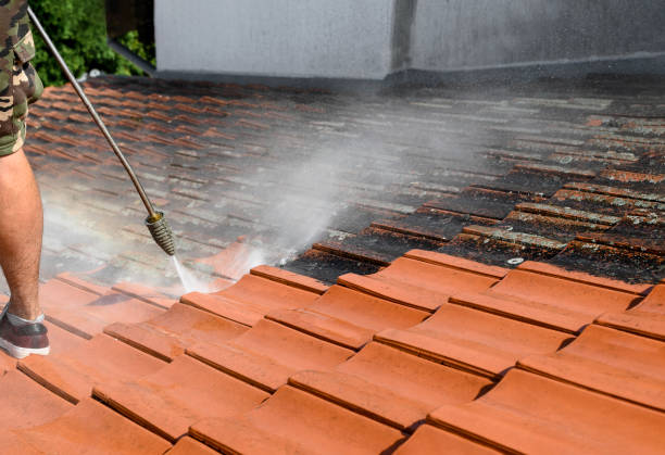 Best Roof Pressure Washing  in Hot Springs, SD